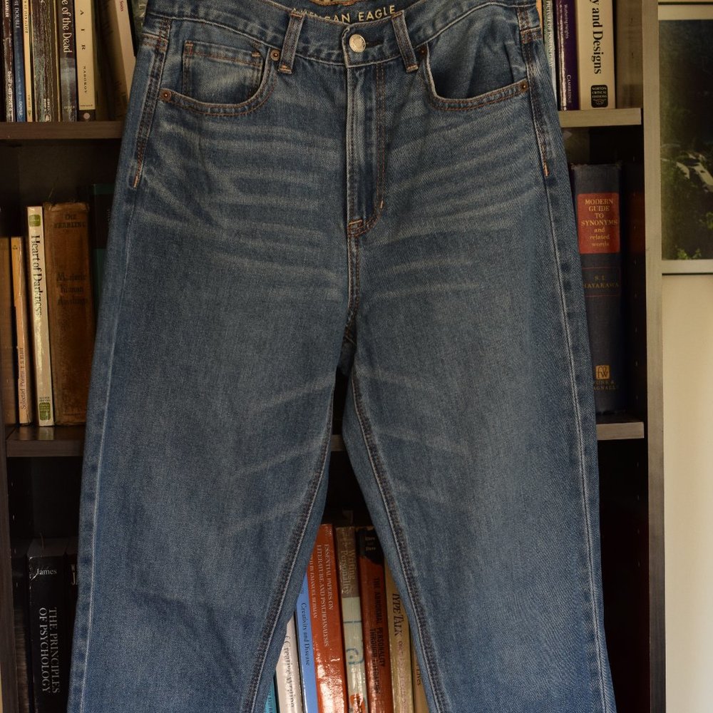 American Eagle Mom Jeans Size 6 Long
